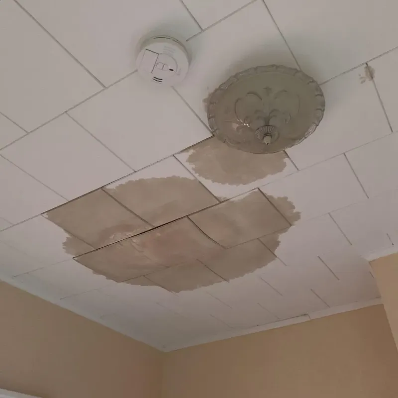 Ceiling Water Damage Repair in Oshkosh, NE