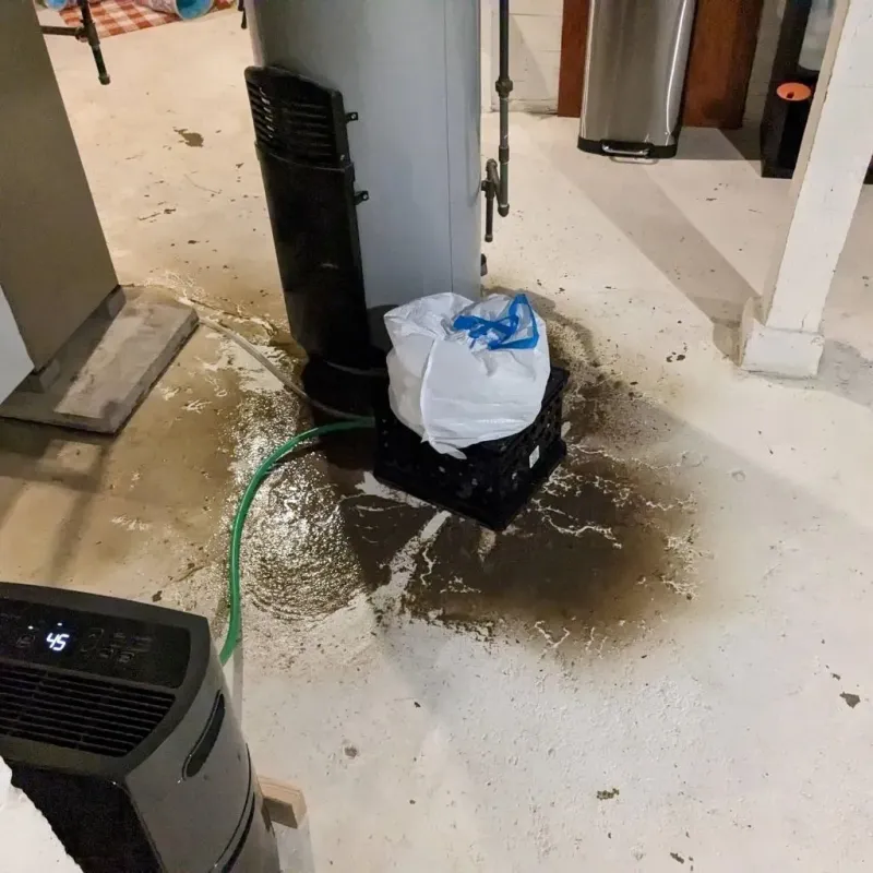 Sewage Backup Cleanup Service in Oshkosh, NE